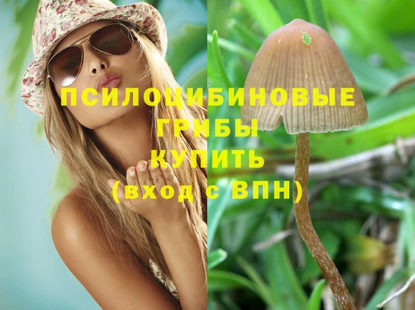 тгк Волосово