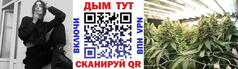 Купить где  Жуковский  Канабис план 
